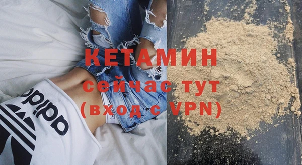 хмурый Аркадак