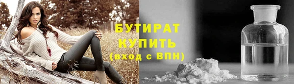 хмурый Аркадак