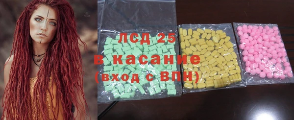 хмурый Аркадак