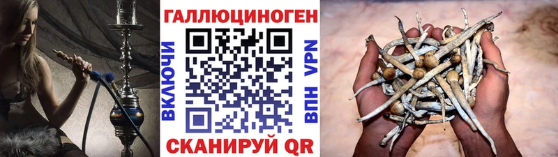 где можно купить   Новый Оскол  Псилоцибиновые грибы мухоморы 